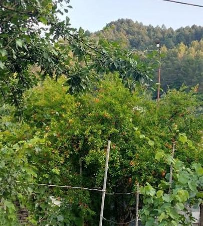 Apartament Teuta Përmet Kültér fotó