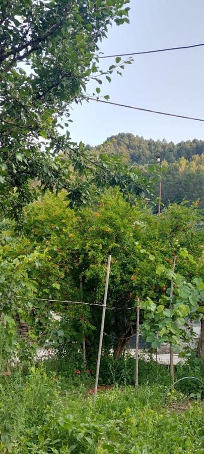 Apartament Teuta Përmet Kültér fotó